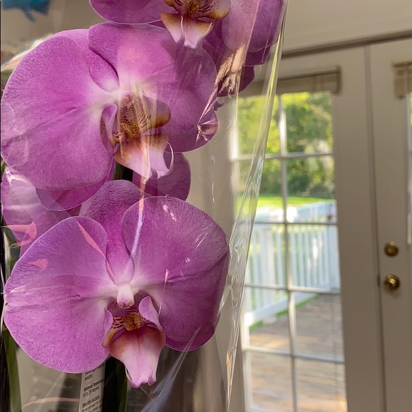 cruzirma77